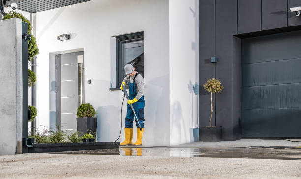 Best Gutter Cleaning  in Williamston, NC